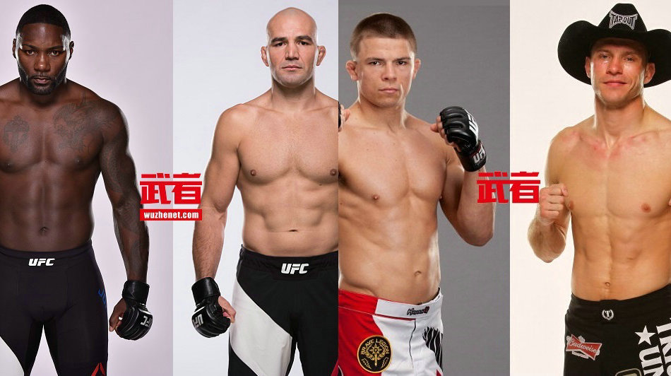 UFC202：约翰逊vs特谢拉 斯托瑞vs牛仔