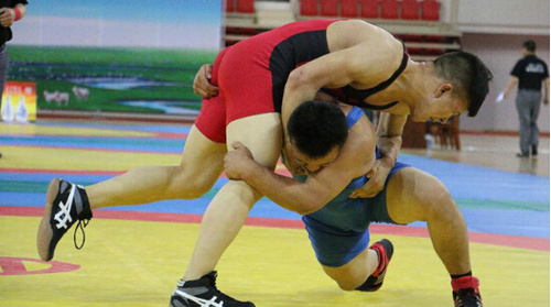 2016内蒙古青少年国际式摔跤锦标赛落幕