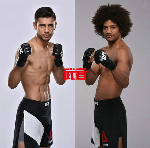 UFC.jpg