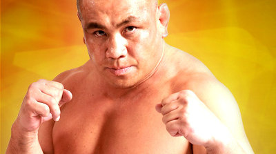 日本传奇格斗名将藤田和之宣布退役