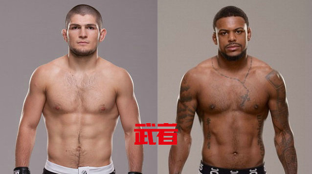 UFC205:不败新星“飞鹰”努曼格莫多夫对阵迈克尔·约翰逊