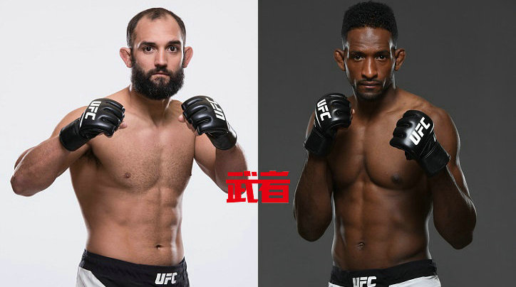 UFC207:乔尼·亨德里克斯vs尼尔·马格尼