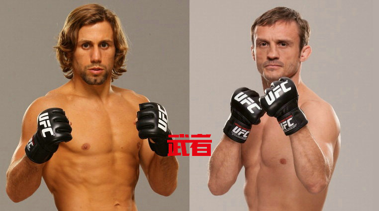 UFC on FOX 22:乌利亚·法贝尔vs布拉德·皮克特