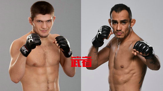 UFC209:“飞鹰”卡哈比vs托尼·弗格森临时冠军战确定