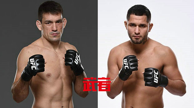 UFC格斗之夜108:德米安·玛雅vs乔治·马斯威达尔