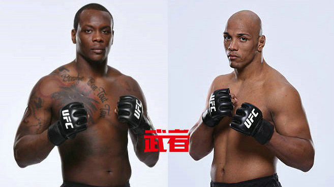 UFC格斗之夜108:欧文斯·圣·普吕vs罗杰里奥·德·里马