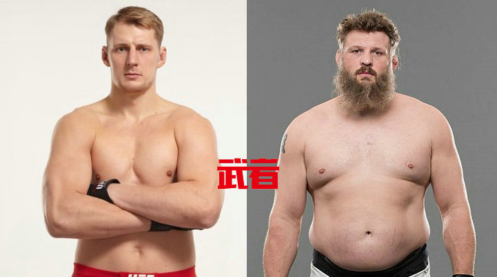 UFC on FOX 24:罗伊·尼尔森vs亚历山大·沃尔科夫