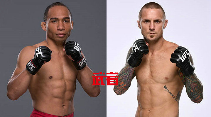 UFC格斗之夜108:约翰·多德森vs艾迪·维纳兰德