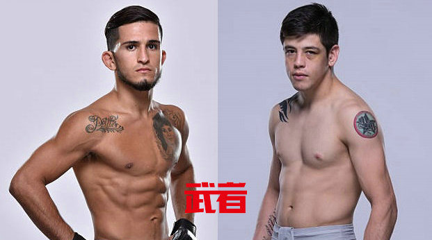 UFC格斗之夜114:塞尔吉奥·佩蒂斯vs布兰登·莫雷诺