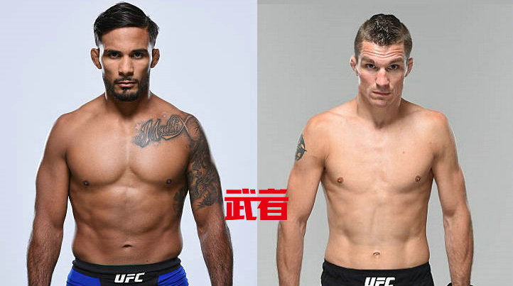 UFC on Fox 25:丹尼斯·贝穆德兹vs达伦·艾尔金斯