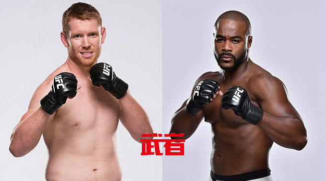 UFC格斗之夜114:萨姆·阿尔维vs拉沙德·埃文斯