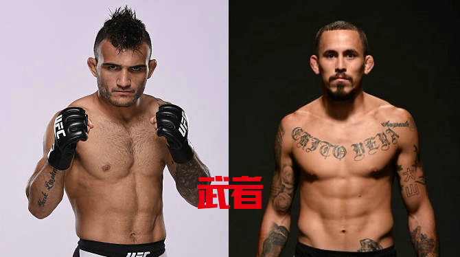 UFC格斗之夜119:约翰·莱因克尔vs马龙·维拉