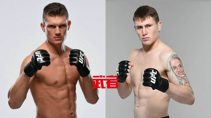 UFC on Fox 28:“神奇小子”汤普森迎战不败新星达伦·提尔