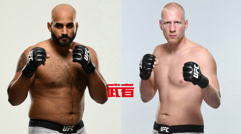 UFC on FOX 29：加拿大不败摔跤手阿尔简·布拉尔出战