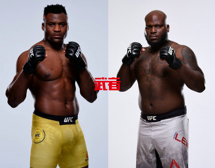 UFC_纳干诺_刘易斯_武者网.jpg