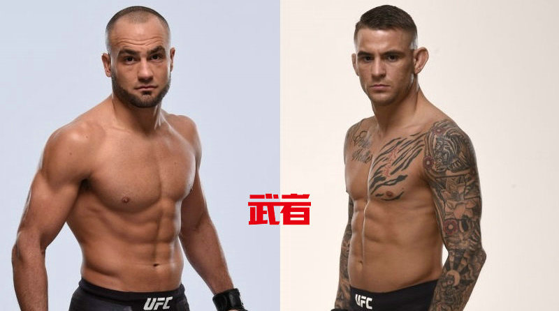 UFC on Fox 30：阿瓦雷兹vs波里尔二番战正式敲定