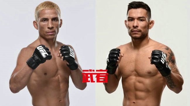 UFC格斗之夜139：约瑟夫·贝纳维德兹vs雷·伯格