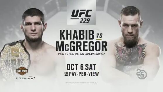 UFC 229-麦格雷戈-哈比布.jpg