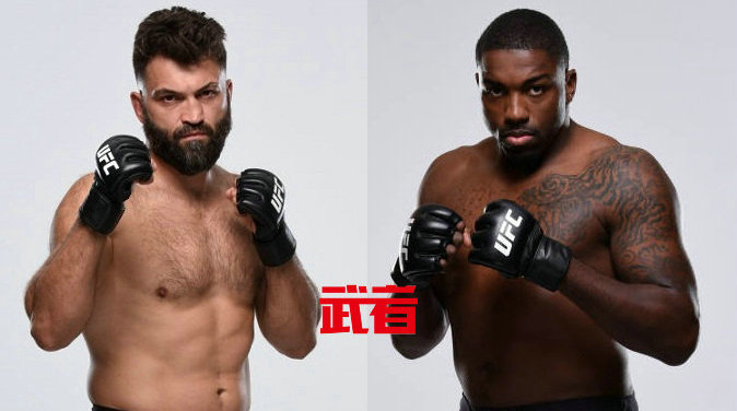 UFC 232：安德烈·阿洛夫斯基vs沃尔特·哈里斯