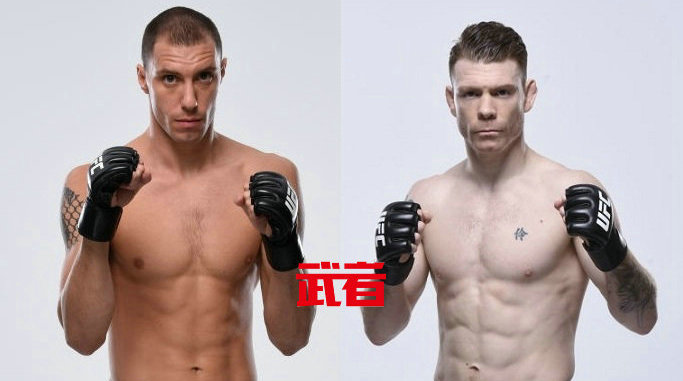 UFC 233:詹姆斯·维克vs保罗·菲尔德