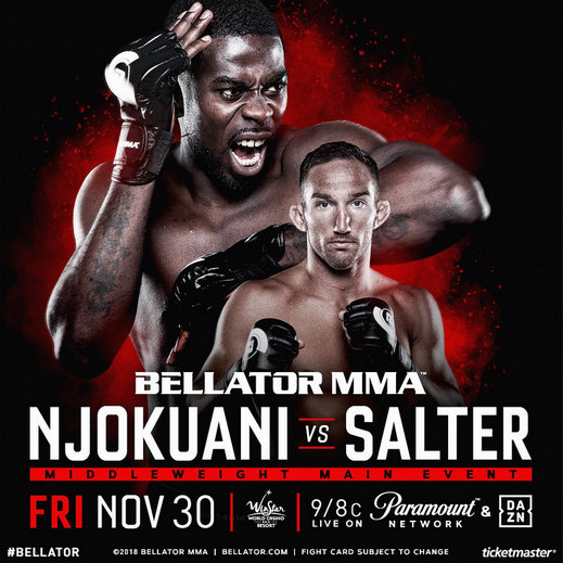 Bellator 210.jpg