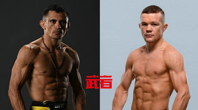 UFC 232:道格拉斯·席尔瓦·德·安德拉德vs彼得·严