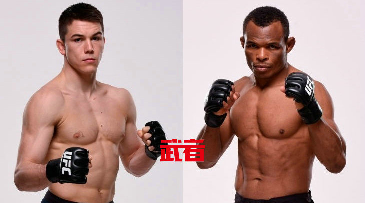 UFC 233:亚历山大·赫尔南德兹vs弗朗西斯科·特里纳尔多