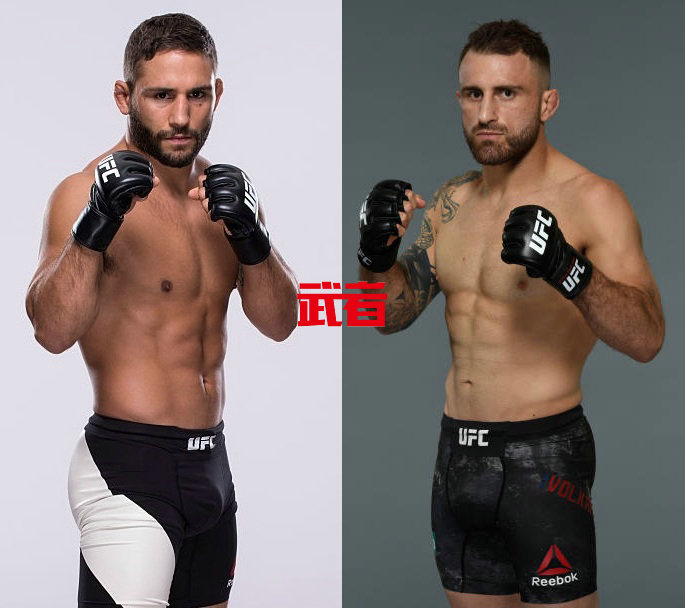 UFC_Mendes_Volkanovski.jpg