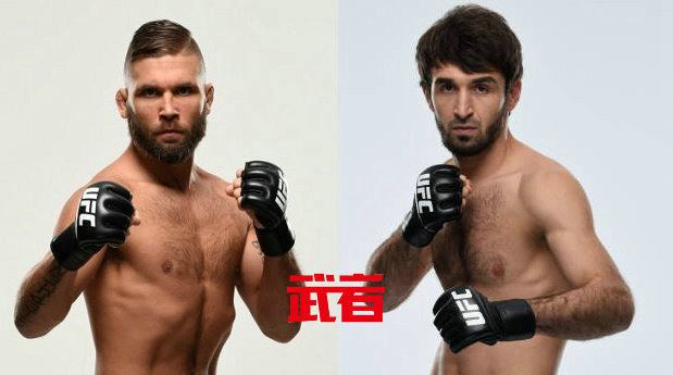 UFC 235:杰里米·斯蒂芬斯vs扎比特·马戈梅德沙利波夫