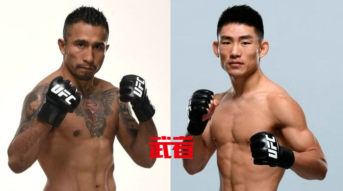 UFC 235:宋亚东vs亚历杰德罗·佩雷斯