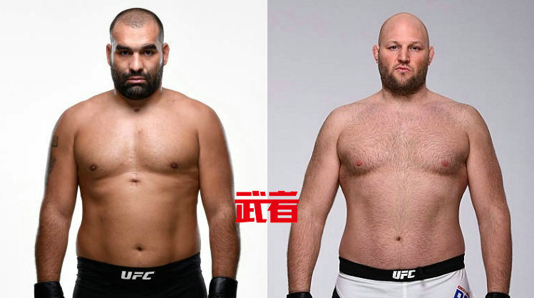 UFC格斗之夜146:博拉戈伊·伊万诺夫vs本·罗斯维尔