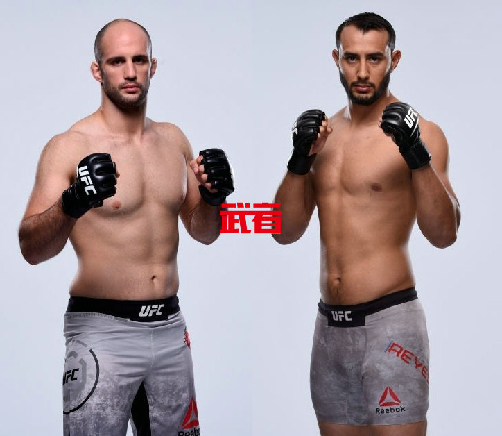 UFC_Oezdemir_Reyes.jpg