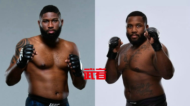 UFC格斗之夜148:柯蒂斯·布莱兹vs贾斯汀·威利斯