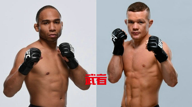 UFC格斗之夜145:约翰·多德森vs彼得·严