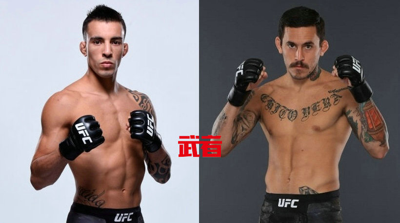 UFC 235:托马斯·阿尔梅达vs马龙·维拉