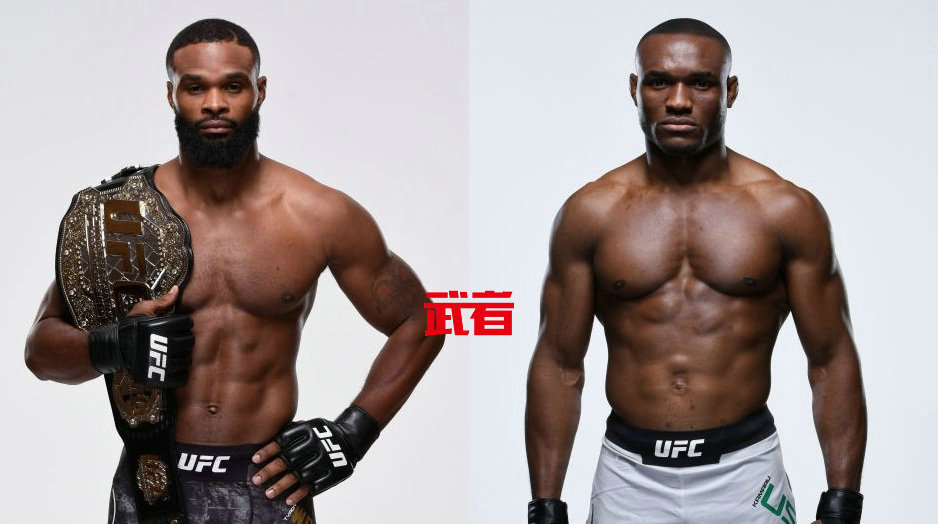 UFC 235：伍德利vs乌斯曼，加布兰特vs蒙霍兹