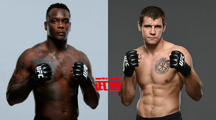 UFC 236:欧文斯·圣·普吕vs尼基塔·克雷洛夫