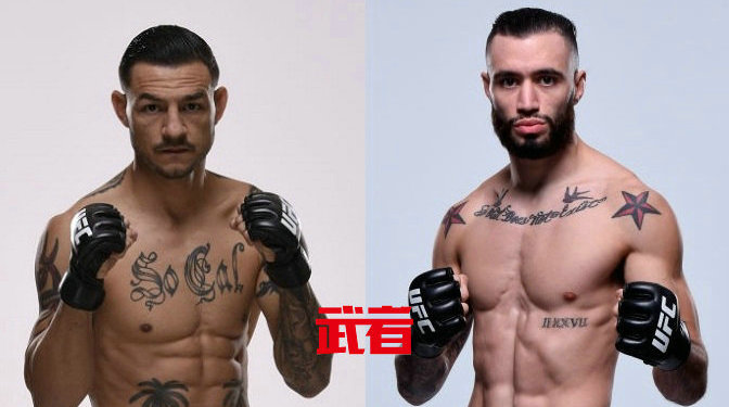UFC格斗之夜150:卡布·斯旺森vs肖恩·布尔戈斯
