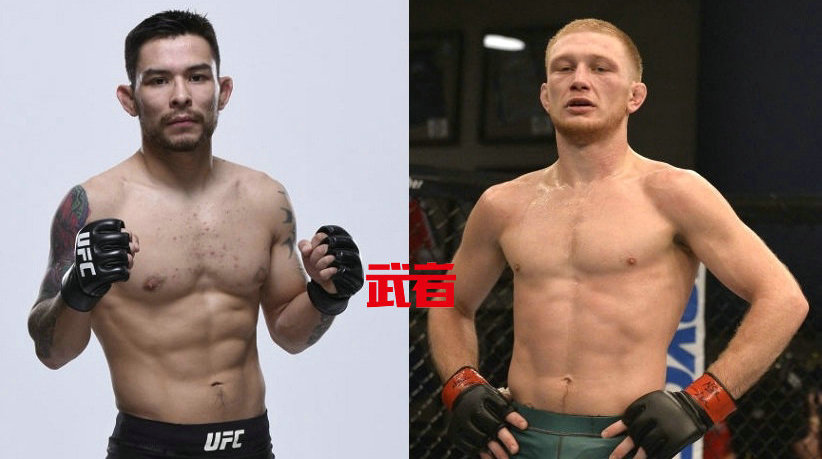 UFC on ESPN 2:凯西·肯尼替补刘平原对阵雷·伯格