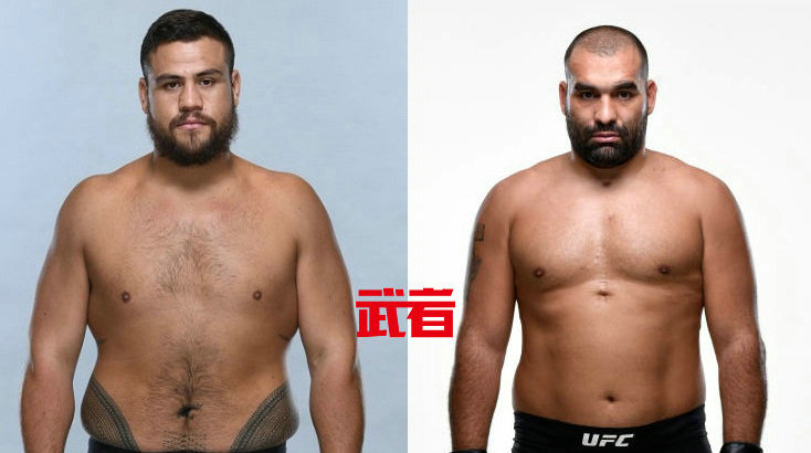 UFC 238:泰·图瓦萨vs博拉戈伊·伊万诺夫