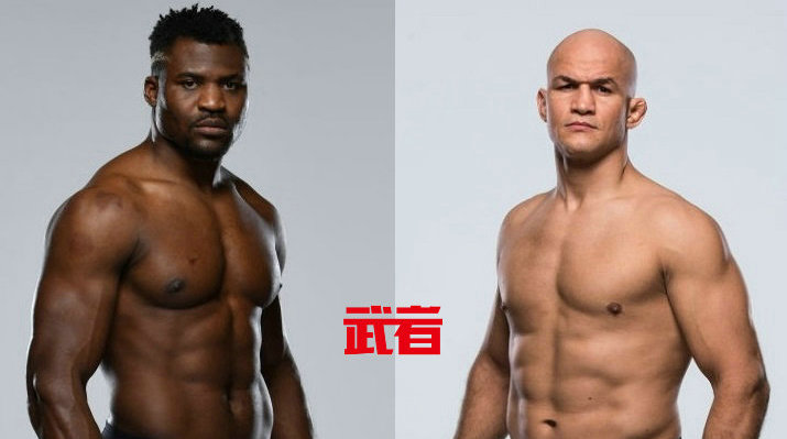 UFC 239：纳干诺vs桑托斯，马斯威达尔vs阿斯科伦