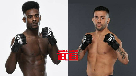 UFC 238:斯特林vs蒙霍兹,里维拉vs彼得·严
