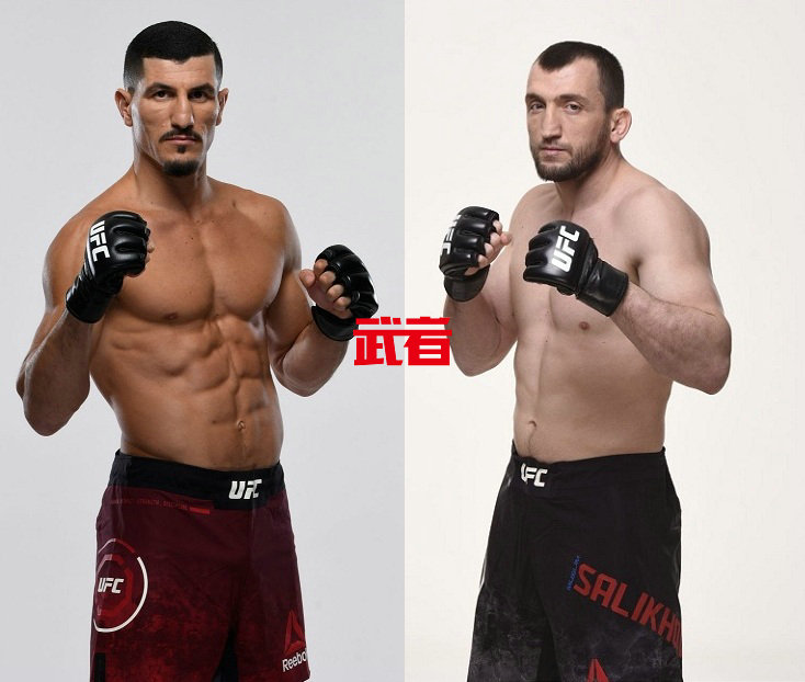 UFC_Taleb_Salikhov.jpg