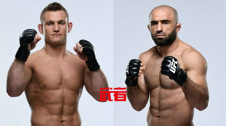 UFC 245：伊恩·海涅什vs奥马里·阿克梅多夫