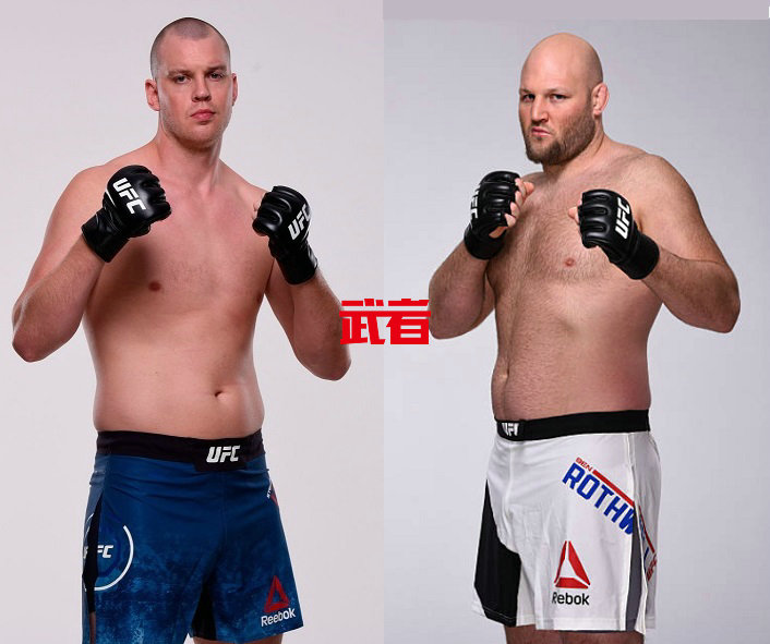 UFC_Struve_Rothwell.jpg