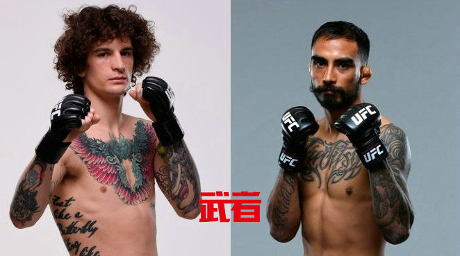 UFC 247：肖恩·奥马利vs何塞·阿尔伯特·奎努尼兹