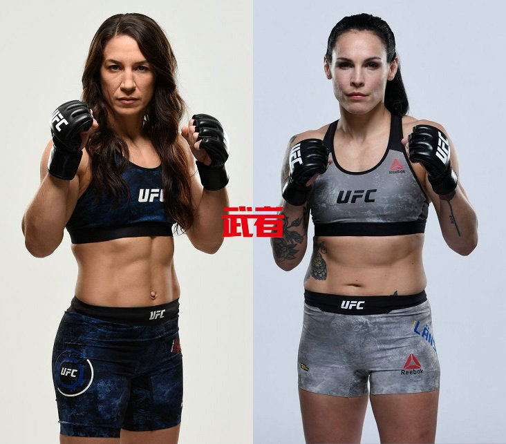 UFC-McMann-Lansberg.jpg