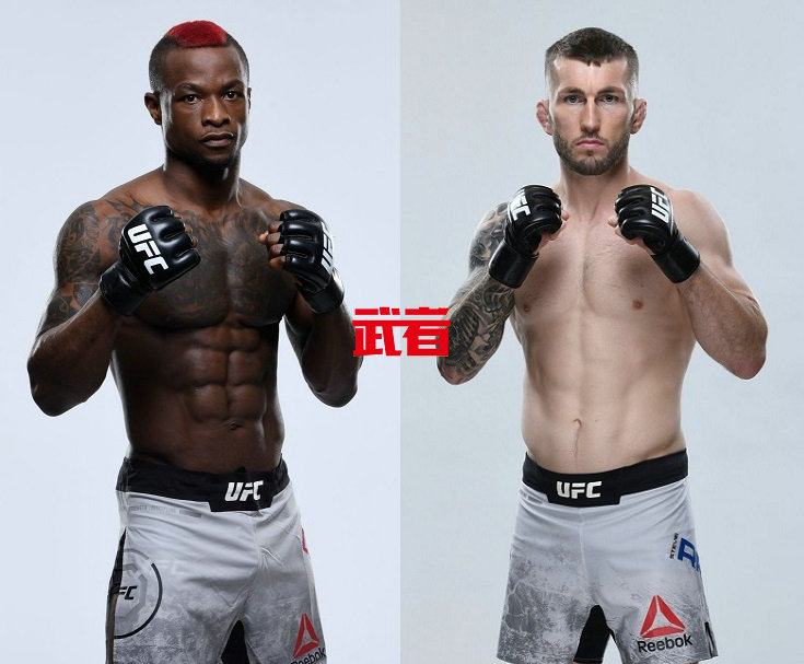 UFC-Diakiese-Ray.jpg