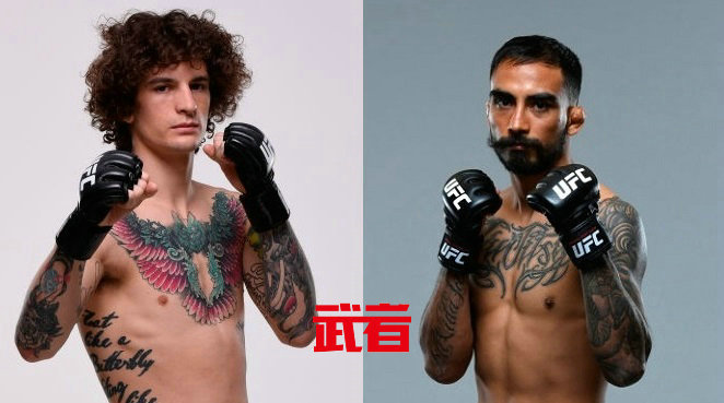 UFC 248：肖恩·奥马利vs何塞·阿尔伯特·奎努尼兹