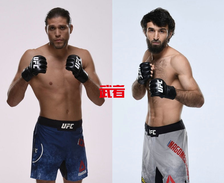 UFC-Ortega-Zabit.jpg